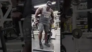Brandon Curry physique update 2025