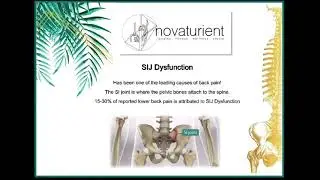 Spine health awareness week Day 5