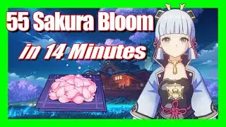 55 Sakura Bloom in 14 Minutes - Genshin Impact | Material Farm (Ayaka Ascension Material)