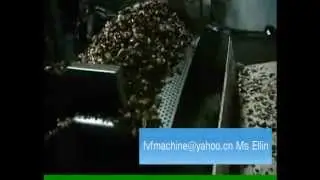 Full automatic fried broad bean production line/automatic fried Vicia faba machine equipment