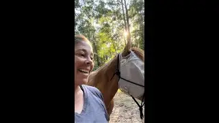 About consent - and why it&rsquo;s a good thing when your horse says NO