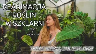 JAKIE ZMIANY POBUDZIŁY MOJE ROŚLINY DO INTENSYWNEGO WZROSTU? 🌱 | lunavlog