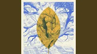 Giant toad