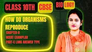 Class 10 Science Chapter 8 | NCERT Exemplar Long Answer Type Solutions