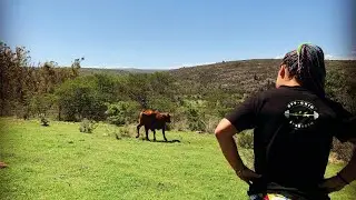 Why are we moving off-grid in rural South Africa?!