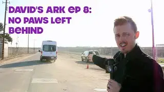 David's Ark: No Paws Left Behind (Episode 8)
