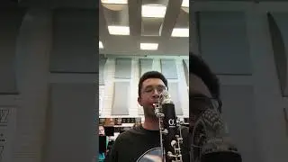 Why you don&rsquo;t give bass clarinets melodies 😱 #bassclarinet #contrabassclarinet #music