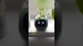 Умный цветочный горшок #обзор #товары #полезныевещи