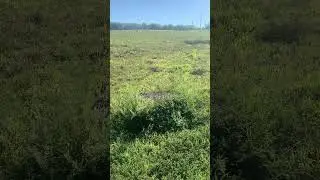 CHEAP EROSION CONTROL