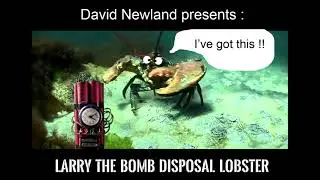 Album #5 : Larry The Bomb Disposal Lobster