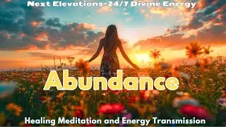Manifest Abundance Talk and Divine Energy Meditation