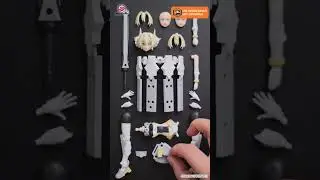 M&ocirc; h&igrave;nh kit nữ đẹp nhất? 30MS Yufia!