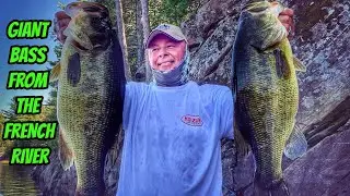 GIANT LARGEMOUTH BASS FROM THE FRENCH RIVER- New Season Teaser