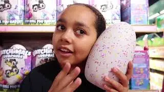 Hatchimals Surprise Egg Baby Twins Toys AndMe Mission