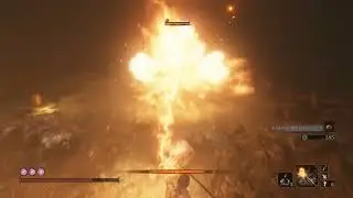 Sekiro - Doujun And  Jinzaemon Kumano