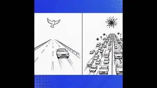 Freedom Without Responsibility Isn't Liberty&mdash;It's Chaos Traffic Lesson