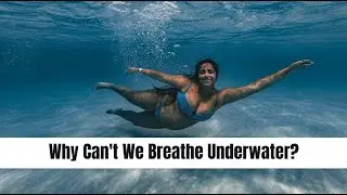 We Breathe Underwater ? || Mind Musings#breathingunderwater #underwater #humanfacts