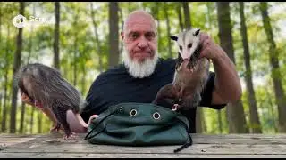 A Bag of Infinite Possums from a D&D Game