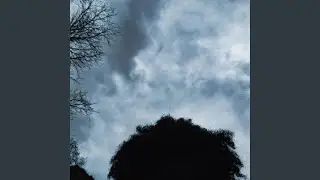 Perfect Rotation