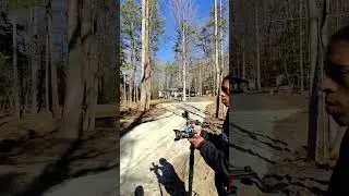 Clearing Trees POV, wait for the sound! #meta #construction #mmhomebuilders