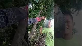 Mancing Di Spot Gembong