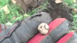 Civil war relic hunting at its best.
