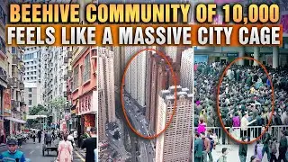 Too scary! The beehive community of 10,000 people feels like a massive cage in the city