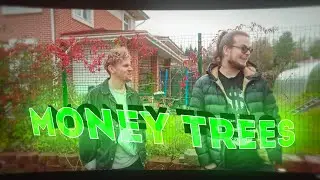 BULKIN EDIT | MONEY TREES