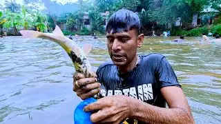Amazing Rural Fishing Competition By Polo On Winter Morning In Bangladesh. Fishing Village