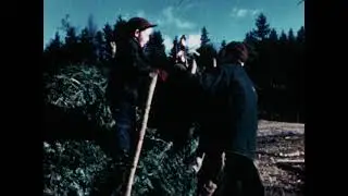 A Tree Grows for Christmas (1949, sound)