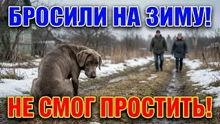 ПЁС один всю ЗИМУ! Хозяева приехали — что он сделал ПОТРЯСЛО