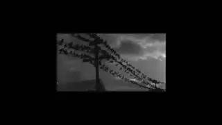 TRAILER NUEVO LP. Promo Taxes