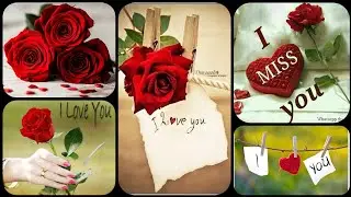 Happy #Rose #Day My Love| 🌹#Rose Photos For #Love| Rose Day Photo/ #2022| #Rose Day Pictures HD/#Dp