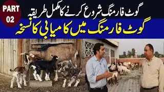 How to Start Goat Farming in Pakistan | Goat Farming Business in Pakistan | Goat Farming Business |