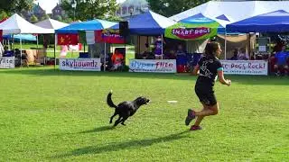 Skyhoundz World Championship. Chattanooga, TN (09-24-2017). Video 22 #Skyhoundz