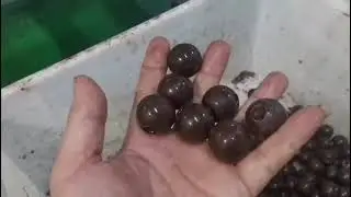 Chocolate Ball making machine