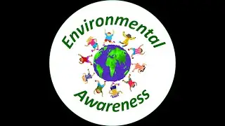 Littering: Causes, Effects & Solutions (Audio Lesson)
