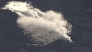 Submarine Breach Chaos Group PhoenixFD