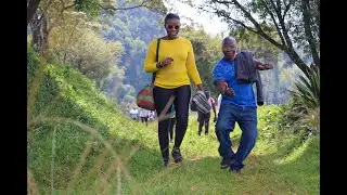 FOREST BATHING & WATERFALL CHASE EXPERIENCE, TIGONI INN