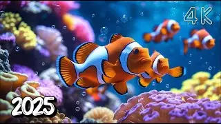 Gentle Music and Calms the Nervous System &ndash; Healing Music for the Heart and Delights the Soul #30