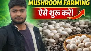 घर बैठे Mushroom Farming शुरू करें | कम लागत में ज्यादा मुनाफा 💰🍄