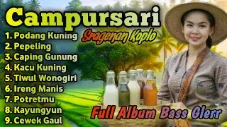 CAMPURSARI KOPLO ||SRAGENAN CAMPURSARI BASS GLERR || LANGGAM CAMPURSARI KOPLO