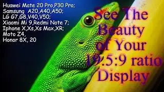 The Beauty of Your 19.5:9 ratio Display