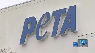 Erin Kelly presses PETA for answers about stolen dog