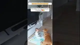 Ит ва мушук одамни дўсти. #it #mushuk #dost #odam #cat #dog #friend #man