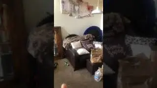 Hood delivery &ldquo;Amazon Fresh
