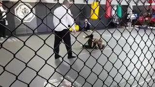 Jiu-Jitsu Competition at REPS MMA - Leah Coetzee 8 year old