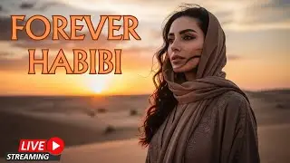 Arabic Habibi Love Song &ndash; Romantic Premium Arabic Love Mix ❤️