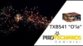TXB541 fejerverkai 2024 pirotechnika.lt