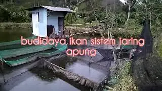 budidaya ikan sistem keramba jaring apung